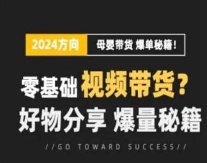 短视频母婴赛道实操流量训练营，零基础视频带货，好物分享，爆量秘籍-旺仔资源库