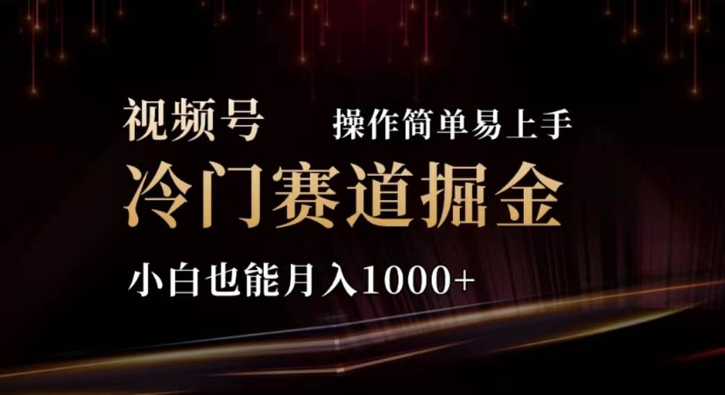 （11378期）2024视频号冷门赛道掘金，操作简单轻松上手，小白也能月入1000+-旺仔资源库