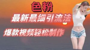 se粉最新最细引流法，七天螺旋起号法，爆款视频轻松制作【揭秘】-旺仔资源库