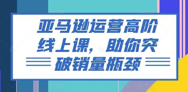 亚马逊运营高阶线上课，助你突破销量瓶颈-旺仔资源库