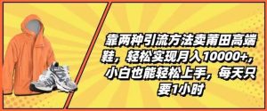 靠两种引流方法卖莆田高端鞋，轻松实现月入1W+，小白也能轻松上手，每天只要1小时【揭秘】-旺仔资源库