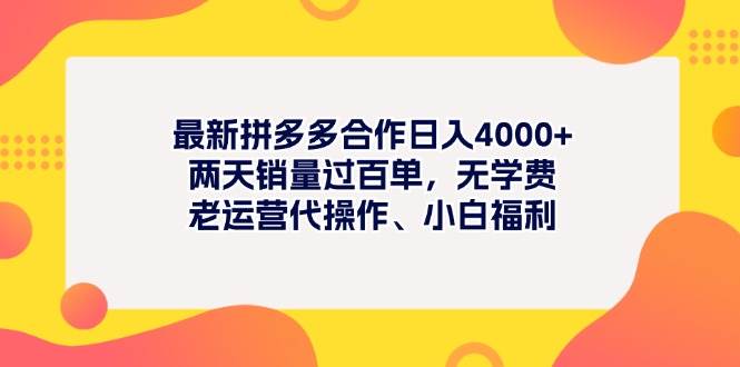 （11410期）最新拼多多项目日入4000+两天销量过百单，无学费、老运营代操作、小白福利-旺仔资源库