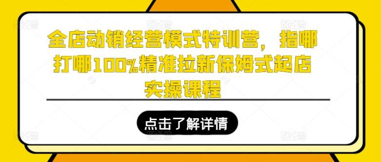 全店动销经营模式特训营，指哪打哪100%精准拉新保姆式起店实操课程-旺仔资源库