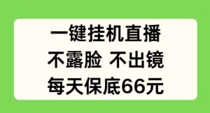 一键挂JI直播，不露脸不出境，每天保底66元【揭秘】-旺仔资源库