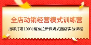 （11460期）全店动销-经营模式训练营，指哪打哪100%精准拉新保姆式起店实战课程-旺仔资源库