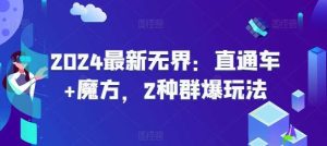 2024最新无界：直通车+魔方，2种群爆玩法-旺仔资源库