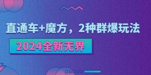 （11479期）2024全新无界：直通车+魔方，2种群爆玩法-旺仔资源库
