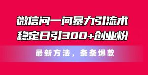 （11486期）微信问一问暴力引流术，稳定日引300+创业粉，最新方法，条条爆款-旺仔资源库