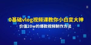 0基础vlog视频课教你小白变大神：价值20w的爆款视频制作方法-旺仔资源库