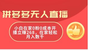 （11521期）拼多多无人直播，小白在家0粉0成本开播立赚268，在家轻松月入数千-旺仔资源库