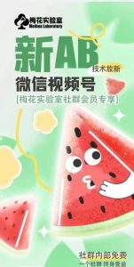 梅花实验室2024年AB技术视频号AB合成破解版-旺仔资源库