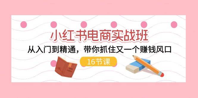 （11533期）小红书电商实战班，从入门到精通，带你抓住又一个赚钱风口（16节）-旺仔资源库