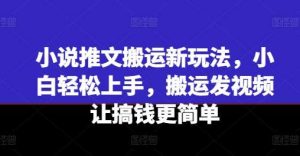 小说推文搬运新玩法，小白轻松上手，搬运发视频让搞钱更简单-旺仔资源库