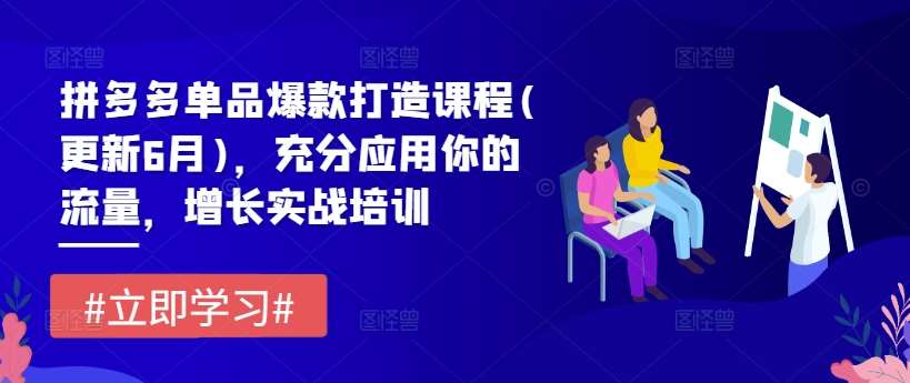 拼多多单品爆款打造课程(更新6月)，充分应用你的流量，增长实战培训-旺仔资源库