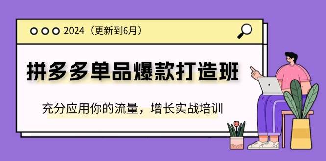 （11556期）2024拼多多-单品爆款打造班(更新6月)，充分应用你的流量，增长实战培训-旺仔资源库