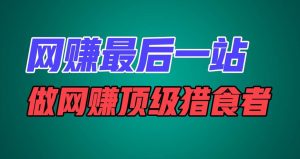 网赚最后一站，卖项目，做网赚顶级猎食者-旺仔资源库