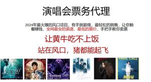 （11561期）2024演唱会低价票务代理，全网最低的票价，手把手教你卖票，日入2000+-旺仔资源库