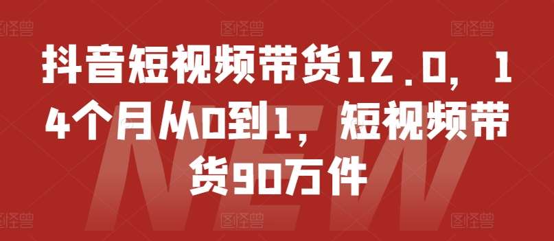 抖音短视频带货12.0，14个月从0到1，短视频带货90万件-旺仔资源库