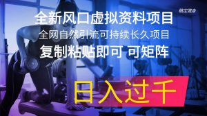 （11587期）全新风口虚拟资料项目 全网自然引流可持续长久项目 复制粘贴即可可矩阵…-旺仔资源库