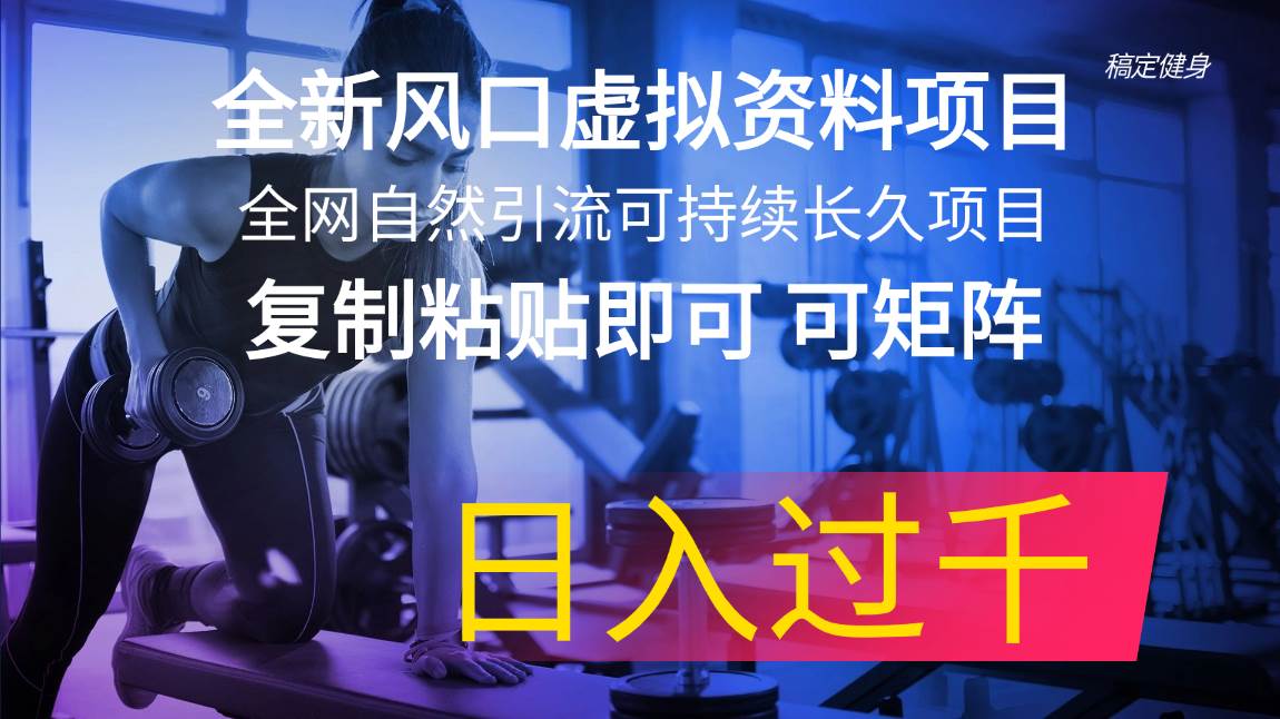 （11587期）全新风口虚拟资料项目 全网自然引流可持续长久项目 复制粘贴即可可矩阵…-旺仔资源库