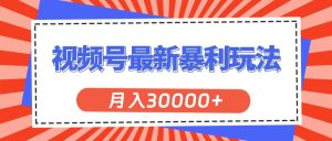 （11588期）视频号最新暴利玩法，轻松月入30000+-旺仔资源库