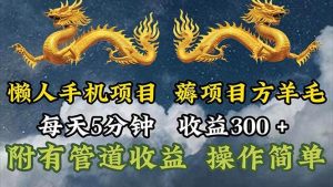 （11600期）懒人手机项目，每天5分钟，每天收益300+，多种方式可扩大收益！-旺仔资源库