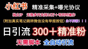 小红薯精准采集＋无限曝光＋真实笔记跳转微信，永不屏蔽（日引300＋精准粉）-旺仔资源库