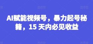 AI赋能视频号，暴力起号秘籍，15 天内必见收益【揭秘】-旺仔资源库