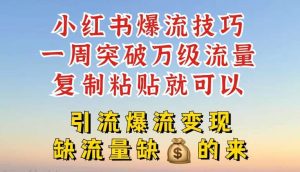 小红书爆流技巧，一周突破万级流量，复制粘贴就可以，引流爆流变现【揭秘】-旺仔资源库