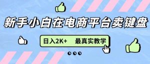 （11610期）新手小白在电商平台卖键盘，日入2K+最真实教学-旺仔资源库