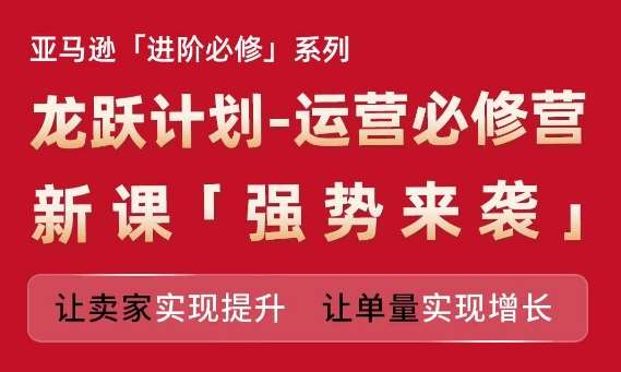 亚马逊进阶必修系列，龙跃计划-运营必修营新课，让卖家实现提升 让单量实现增长-旺仔资源库