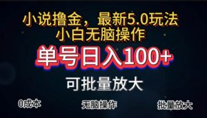 （11651期）全自动小说撸金，单号日入100+小白轻松上手，无脑操作-旺仔资源库