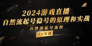 （11653期）2024游戏直播-自然流起号稳号的原理和实战，自然流起号流程（11节）-旺仔资源库