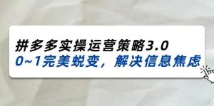 （11658期）2024_2025拼多多实操运营策略3.0，0~1完美蜕变，解决信息焦虑（38节）-旺仔资源库