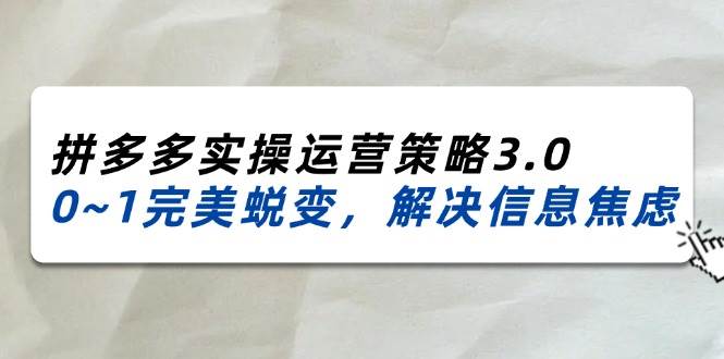 （11658期）2024_2025拼多多实操运营策略3.0，0~1完美蜕变，解决信息焦虑（38节）-旺仔资源库