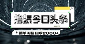 （11665期）撸爆今日头条 简单无脑操作 日收2000+-旺仔资源库