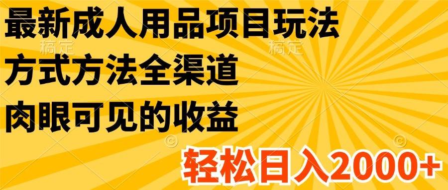 最新成人用品项目玩法，方式方法全渠道，肉眼可见的收益，轻松日入2000+-旺仔资源库