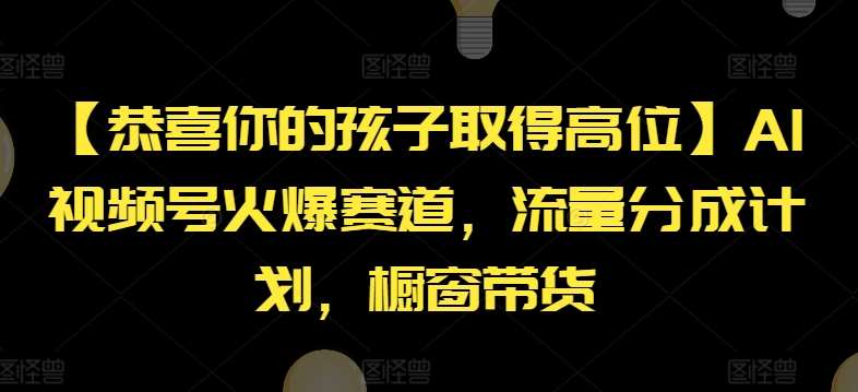 【恭喜你的孩子取得高位】AI视频号火爆赛道，流量分成计划，橱窗带货【揭秘】-旺仔资源库