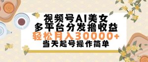 （11684期）视频号AI美女，轻松月入30000+,操作简单轻松上手-旺仔资源库