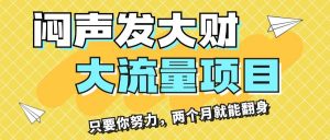 （11688期）闷声发大财，大流量项目，月收益过3万，只要你努力，两个月就能翻身-旺仔资源库