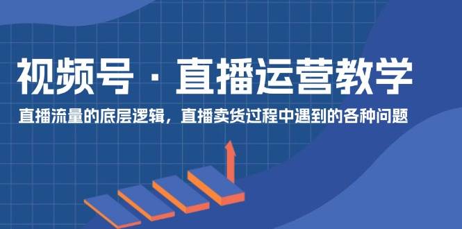 （11687期）视频号 直播运营教学：直播流量的底层逻辑，直播卖货过程中遇到的各种问题-旺仔资源库