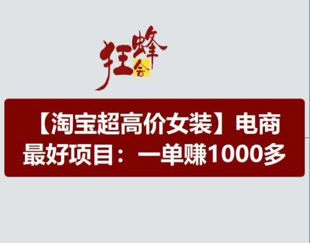 淘宝超高价女装项目，电商最好赛道，一单赚1000多-旺仔资源库