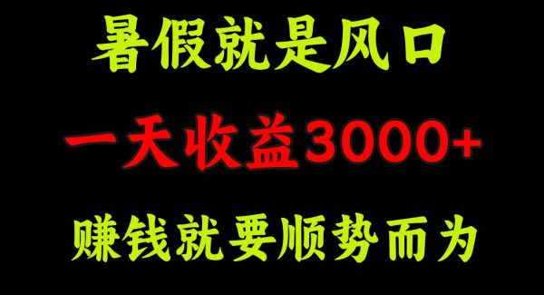 （11670期）一天收益3000+ 赚钱就是顺势而为，暑假就是风口-旺仔资源库