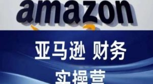 亚马逊财务核算实操营-亚马逊跨境电商教程-旺仔资源库