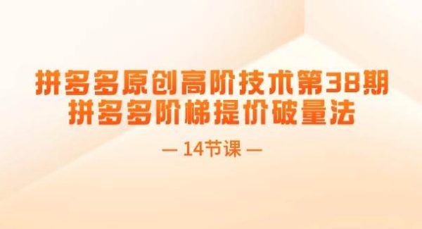（11704期）拼多多原创高阶技术第38期，拼多多阶梯提价破量法（14节课）-旺仔资源库