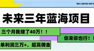 （11716期）未来三年，蓝海赛道，月入3万+-旺仔资源库