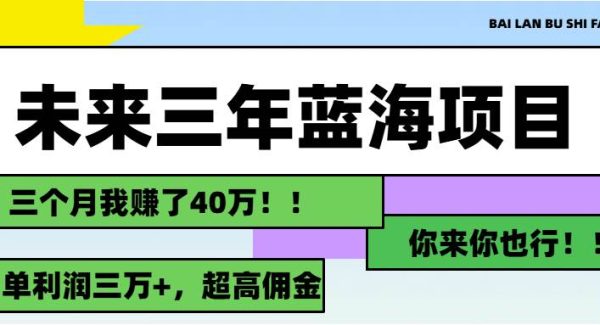 （11716期）未来三年，蓝海赛道，月入3万+-旺仔资源库