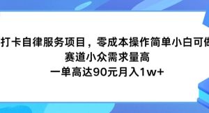 打卡自律服务项目，零成本操作简单小白可做，赛道小众需求量高，一单高达90元月入1w+-旺仔资源库