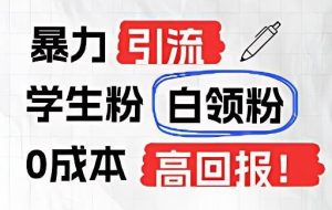 暴力引流学生粉白领粉，吊打以往垃圾玩法，0成本，高回报-旺仔资源库
