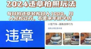 （11743期）2024违章拍照新玩法，推广躺赚+拍照赚钱双模式，日入1000+-旺仔资源库